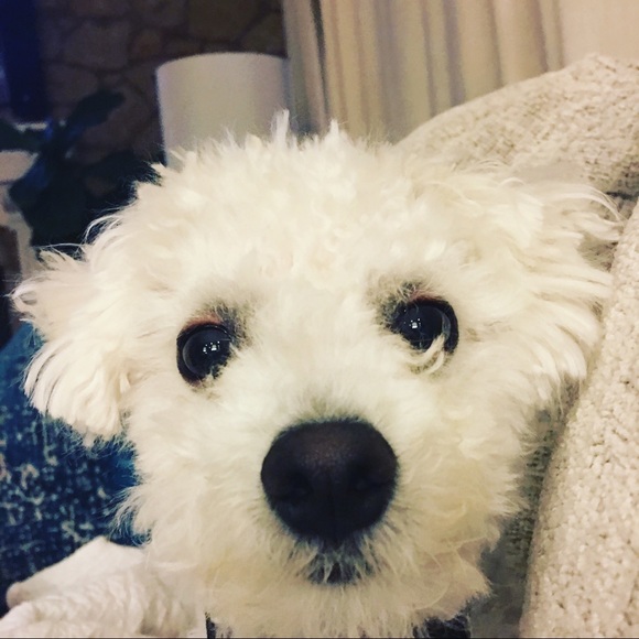 MAKE ME AN OFFER!!! ❤️👗👠 - Picture 2 of 4